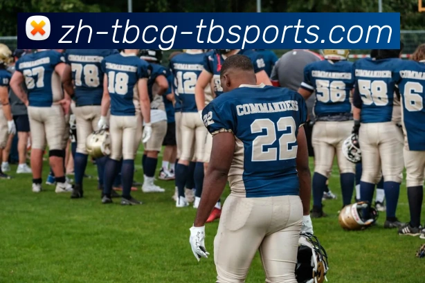 天博体育平台生态图